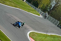 anglesey;brands-hatch;cadwell-park;croft;donington-park;enduro-digital-images;event-digital-images;eventdigitalimages;mallory;no-limits;oulton-park;peter-wileman-photography;racing-digital-images;silverstone;snetterton;trackday-digital-images;trackday-photos;vmcc-banbury-run;welsh-2-day-enduro